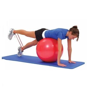 THERA-BAND 55cm Professional Exercise Ball